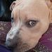 Profile Picture of Stephen Reale (@stephen.reale.319) on Facebook