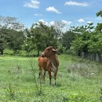 Profile Picture of Julian Arcia (@Julian-Arcia) on Facebook