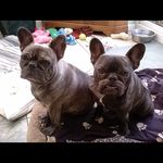 Profile Picture of Sandra Maddox (@sands.maddox) on Instagram