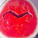 Profile Picture of Claudia Pascale (@claudiapascale6940) on Instagram