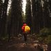 Profile Picture of Lorraine Lee (@lorrainelsm) on Pinterest