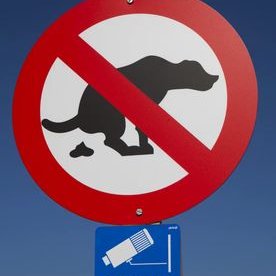 Tony Golding - Twitter Profile Picture of Tony Golding (@tonygolding25) on Twitter