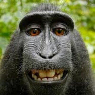 Profile Picture of Justin McKenna (@mckjustin) on Twitter