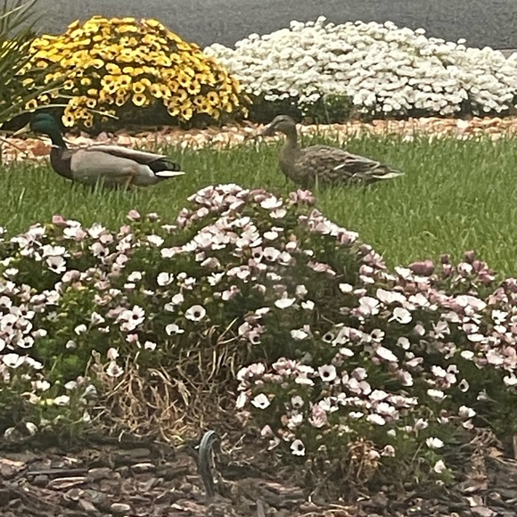 Profile Picture of Nohora Cole (@cole05724) on Poshmark