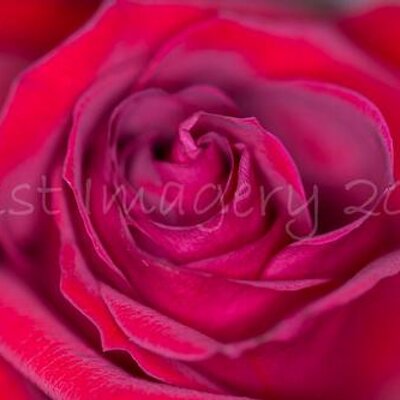 Profile Picture of Melissa Farber (@MissyDawn5150) on Twitter