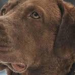 Profile Picture of Mariano Craig (@Mariano-Craig) on Facebook