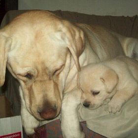 Profile Picture of Stell❤💙💚💛💜💖💖 Leal Arce (@lealarce) on Pinterest