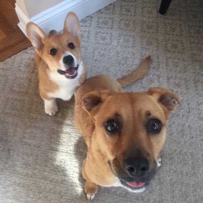 Daniel Clark - Twitter Profile Picture of Daniel Clark (@joda42) on Twitter