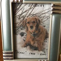 Profile Picture of Ginny Schultz (@mvsjds505) on Pinterest