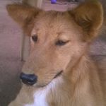 Kevin Yeboah - Instagram Profile Picture of Kevin Yeboah (@kyxannder) on Instagram