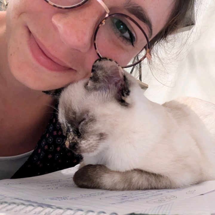 Profile Picture of Debbie Debbo (@debbiedebbodebs) on Tiktok