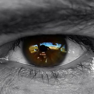 Profile Picture of Thomas Monfort (@thomas.monfort.712) on Facebook