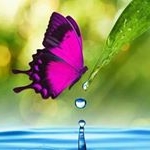 👌 Blake 👌 - Instagram Profile Picture of 👌 Blake 👌 (@tricks_parkour_bottleflips) on Instagram