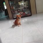 Profile Picture of Nestor Dizon (@nestor.dizon.446550) on Facebook