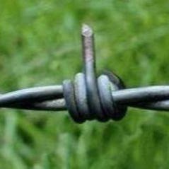 Andrew Razo - Twitter Profile Picture of Andrew Razo (@andrewrazo8) on Twitter