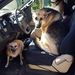 Profile Picture of Steve Yarbrough (@mecura2065) on Pinterest
