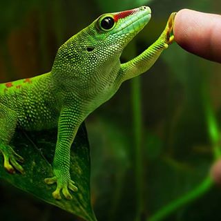 Profile Picture of Richard Fields (@Richard-Fields) on Facebook