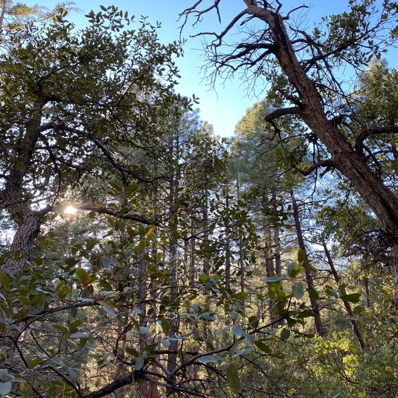 Profile Picture of Olivia Schulte (@oliviaschulte05) on Poshmark