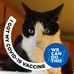 Profile Picture of Sharon Cooper (@sharon.cooper.735) on Facebook