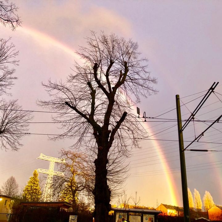 Profile Picture of anjajacobs (@anjajacobs0) on Tiktok