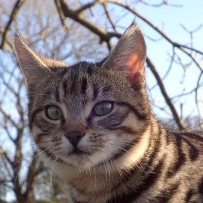 Profile Picture of Sean Neville (@ASeanNeville) on Twitter