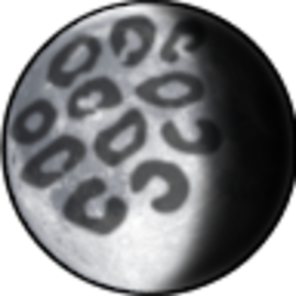 Profile Picture of Leopardess Moon (@leopardessmoon) on Poshmark