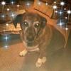 Profile Picture of Cindy Applegate857 (@@user76003740249494) on Tiktok