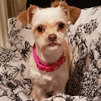 Profile Picture of Kate Bates (@kate-bates-15) on Quora