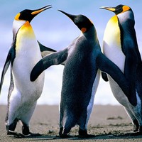 Profile Picture of M Esquivel (@m-esquivel-1) on Quora