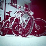 Profile Picture of Tony Persichitti (@tony_persichitti) on Instagram