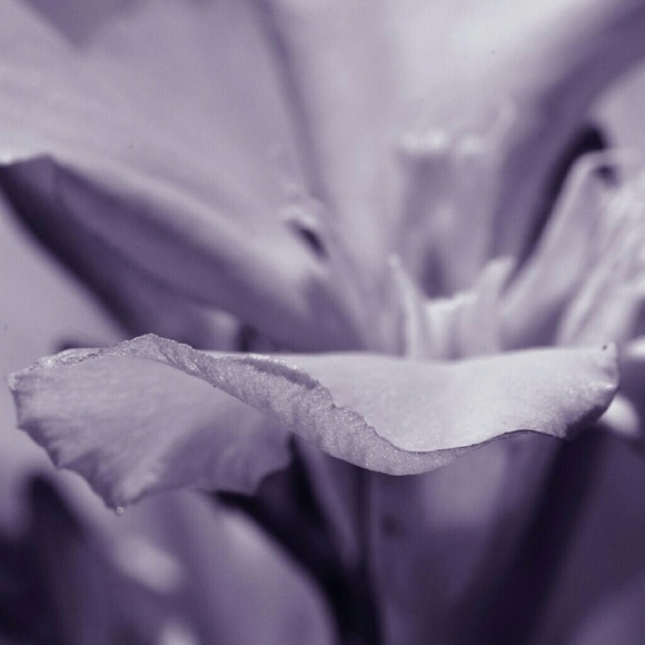 Profile Picture of Rebecca Leyba (@summerrain972) on Poshmark