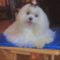 Profile Picture of Chris Rezek (@chris-rezek) on Quora