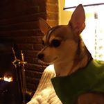 Profile Picture of Matthew Farnham (@matthew.farnham.3) on Instagram