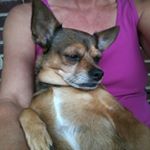 Profile Picture of Janet Dunbar (@dunbar1360) on Instagram