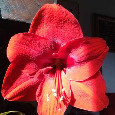 Profile Picture of Madeleine ROY (@Roy8Madeleine) on Twitter