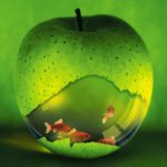 Profile Picture of Devin Hilton (@devinh2855) on Instagram