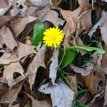 Profile Picture of Mickey Haynes Kibler (@kiblermickey) on Instagram