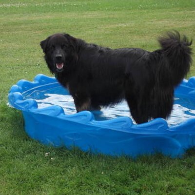 Profile Picture of Paul Goldstein (@Pauley4) on Twitter