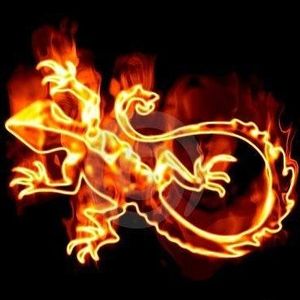 Profile Picture of Calix (@calix.lizard) on Myspace