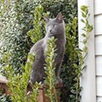 Profile Picture of John Cascino (@john-cascino) on Quora