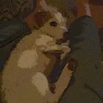 Profile Picture of Debra Lennon (@jetpaked) on Instagram