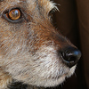 Profile Picture of Richard  Bainbridge (@R.B.Images) on Flickr