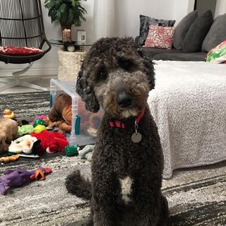 Profile Picture of Dixie Sides (@dixie.sides.1) on Facebook