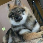 Profile Picture of Yolanda Burch Staehli (@burchstaehli) on Instagram