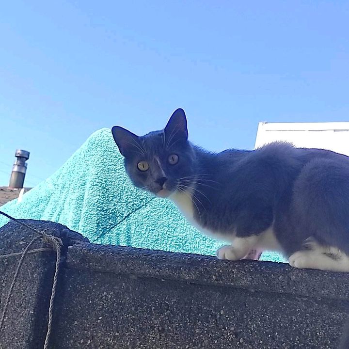 Profile Picture of Andrew Barras (@andrewbarras) on Tiktok