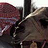 Profile Picture of abdullah M bin rashid (@abdullah M bin rashid) on Flickr