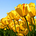 Profile Picture of Janet Davis (@jgdavisjgdavis) on Flickr