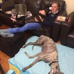 Profile Picture of Ian Kuhl (@ianrjk) on Instagram