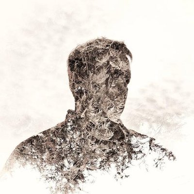 Profile Picture of Ed Hebert (@edhebert) on Twitter