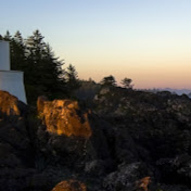 Profile Picture of Megan-Jayne Jinks (@megan-jaynejinks8599) on Youtube